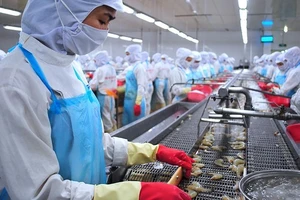 Điểm sáng tình hình kinh tế Việt Nam 8 tháng năm 2022