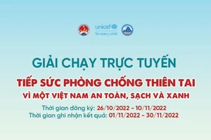 (Ảnh từ banner của giải chạy). 