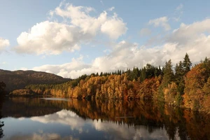 Sắc vàng mùa thu được phản chiếu trên hồ Loch Faskally ở Pitlochry, Scotland, ngày 26/10. (Ảnh: REUTERS)