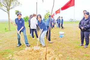 Đoàn viên, thanh niên tỉnh Quảng Trị trồng cây xanh tại thôn Nhật Lệ, xã Cam Thủy, huyện Cam Lộ. (Ảnh TRẦN TUYỀN)