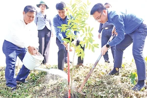 Đại diện lãnh đạo Trung ương Đoàn và tỉnh Long An phát động phong trào trồng hàng cây biên giới.