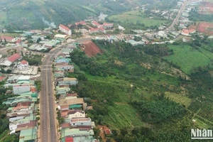 Ảnh minh họa.