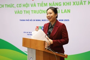 Bà Hồ Thị Quyên, Phó Giám đốc Trung tâm Xúc tiến Thương mại và Đầu tư Thành phố Hồ Chí Minh, phát biểu tại Hội thảo.