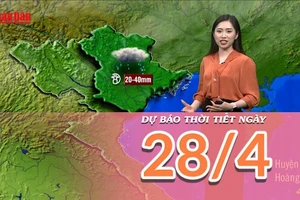 [Video] Dự báo thời tiết ngày 28/4/2025: Không khí lạnh gây mưa