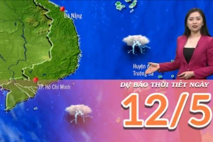 [Video] Dự báo thời tiết ngày 12/5/2025: Mưa giảm, trời hửng nắng về trưa