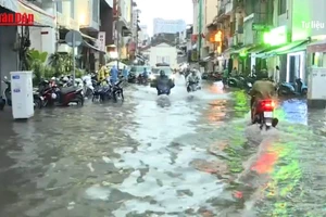 [Video] Xuất hiện nhiều đợt triều cường ở ven biển Đông Nam Bộ 