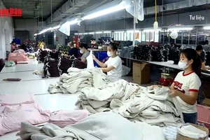[Video] Ban hành Kế hoạch hành động của Chính phủ triển khai Nghị quyết 68 trong tháng 5/2025