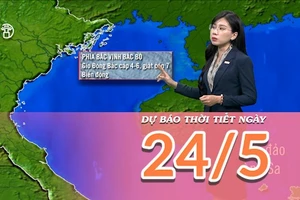 [Video] Dự báo thời tiết ngày 24/5/2025: Mưa dông tại khu vực Bắc Bộ và Bắc Trung Bộ