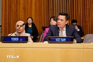 Đại sứ Đặng Hoàng Giang phát biểu tại phiên đối thoại. (Ảnh: TTXVN)