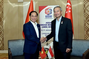 Bộ trưởng Ngoại giao Bùi Thanh Sơn có cuộc gặp song phương với Bộ trưởng Ngoại giao Singapore Vivian Balakrishnan. Ảnh: Bộ Ngoại giao Việt Nam