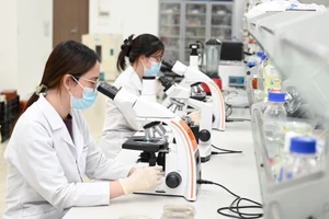 Việt Nam cần chú trọng đầu tư vào các hoạt động nghiên cứu và ứng dụng để thúc đẩy công nghệ sinh học phát triển. Trong ảnh: Nghiên cứu các chủng vi sinh vật có hoạt tính sinh học cao phục vụ sản xuất sản phẩm cho nông nghiệp trong phòng thí nghiệm của Tập đoàn Sinh học AQ. Ảnh: THẾ ĐẠI 