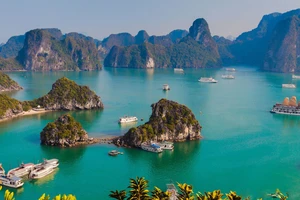 Quần thể Vịnh Hạ Long
