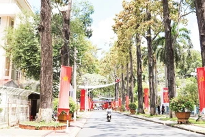 Tuyến đường Lê Thánh Tôn, thành phố Trà Vinh, được người dân quen gọi là đường Hàng Sao.