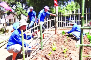 Mô hình cải tạo vườn tạp giúp người dân Đăk Hà phát triển kinh tế, cải thiện cuộc sống, làm đẹp cho quê hương.