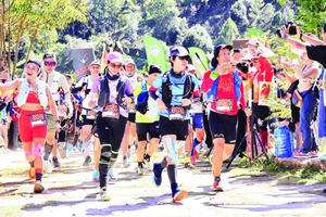Giải chạy địa hình Laan Ultra Trail 2024 tổ chức tại Lâm Đồng thu hút hơn 2.600 vận động viên trong nước và quốc tế tham gia.