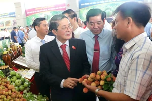 Phó Chủ tịch Quốc hội Nguyễn Đức Hải tham quan gian trưng bày vải thiều tại hội nghị.