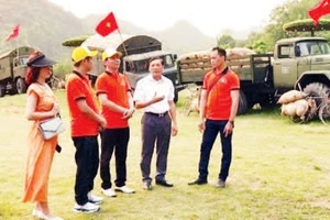 Cựu chiến binh Phạm Công Chất (thứ hai từ phải sang) hướng dẫn nhân viên kỹ thuật tại Khu du lịch sinh thái Thung Nham. (Ảnh TRẦN LAN)