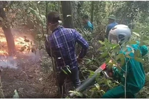 Hiện tại, đang bắt đầu bước vào các đợt cao điểm nắng nóng, tiềm ẩn nguy cơ cháy rừng cao. (Ảnh: Công an Thành phố Hà Nội)