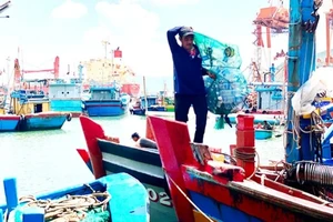 Ngư dân thu gom chai nhựa sau mỗi chuyến đánh bắt dài ngày trở về. (Ảnh: LƯƠNG TÙNG)