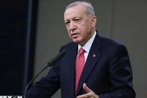 Tổng thống Thổ Nhĩ Kỳ Recep Tayyip Erdogan. (Ảnh: IRNA/TTXVN)