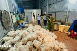 [Video] Hà Nội mở đợt kiểm tra liên ngành về an toàn thực phẩm từ ngày 9/5 đến 15/6