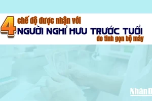 [Infographic] Bốn chế độ được nhận với người nghỉ hưu trước tuổi do tinh gọn bộ máy 