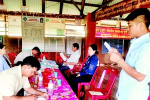 Triển khai chủ trương nhất thể hóa chức danh Bí thư kiêm Trưởng thôn hoặc Trưởng ban Công tác Mặt trận thôn đạt hiệu quả cao tại cơ sở.
