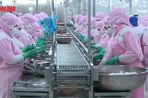 [Video] Thủy sản Việt Nam tìm cách thoát “bẫy phụ thuộc”