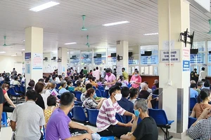 [Video] Khuyến cáo từ Bộ Y tế trong cao điểm sốt xuất huyết