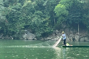 Người dân đánh bắt cá trên hồ Ba Bể bằng phương pháp thủ công. (Ảnh: TUẤN SƠN)