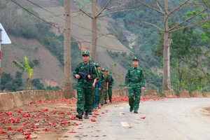 Hoa mộc miên tô thắm những cung đường biên giới.