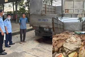 Da trâu, bò không rõ nguồn gốc, xuất xứ chở trên phương tiện bị cơ quan chức năng phát hiện, xử lý.