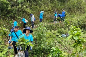 “Rừng xanh lên” là một hành trình gìn giữ thiên nhiên, vun đắp tương lai.