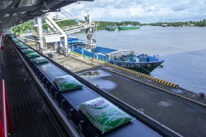 PVCFC chủ động xây dựng phương án điều hành sản xuất kinh doanh-phân phối để đáp ứng đủ nhu cầu vụ Hè Thu trong nước và mở rộng xuất khẩu sang các thị trường khác.