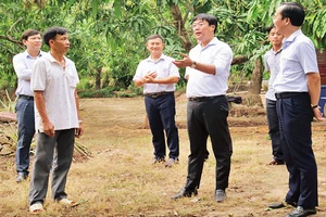 Bí thư Tỉnh ủy Đồng Tháp Lê Quốc Phong tham quan mô hình Cây xoài nhà tôi tại phường 6, thành phố Cao Lãnh, tỉnh Đồng Tháp