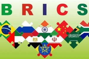 Quốc kỳ các nước thành viên BRICS. (Ảnh: IRNA/TTXVN)