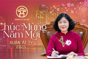 Đồng chí Bùi Thị Minh Hoài, Ủy viên Bộ Chính trị, Bí thư Thành ủy Hà Nội, Trưởng đoàn đại biểu Quốc hội thành phố Hà Nội. (Ảnh: TIẾN TUẤN)