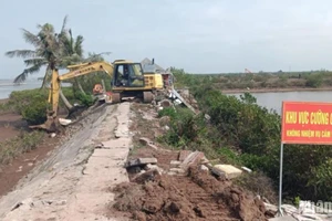 Huyện Tiền Hải triển khai 4 tổ công tác thực hiện việc cưỡng chế theo quy định hiện hành.