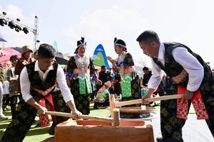 Đồng bào dân tộc H'Mông tỉnh Điện Biên thi giã bánh dày trong Ngày Tết truyền thống của dân tộc.