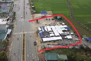Khu đất và khu lán, nhà tôn (khu vực bôi đỏ) do ông Nguyễn Hữu Phục dựng lên trên đất nông nghiệp (đất trồng lúa). (Ảnh: CTV)