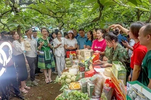 Quảng bá, bán nông sản Thái Nguyên trên sàn thương mại điện tử thời gian qua diễn ra sôi nổi.