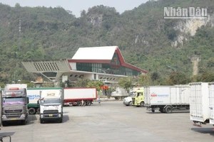Các phương tiện xuất nhập khẩu tại Cửa khẩu quốc tế Hữu Nghị.