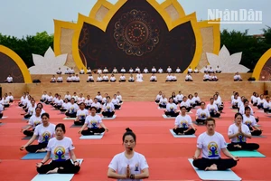 Màn đồng diễn Yoga với sự tham gia của hơn 300 người tại Ngày hội. (Ảnh: QUỐC ĐẠT)