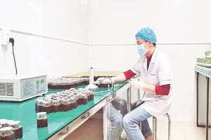 Công ty trách nhiệm hữu hạn Hatodo (Cao Bằng) ứng dụng khoa học công nghệ, sản xuất sản phẩm OCOP chất lượng.