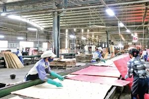 Nhà máy chế biến gỗ công nghiệp Vị Xuyên, tỉnh Hà Giang.