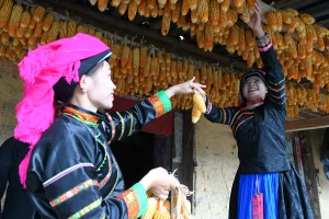 Người Pu Péo là một trong những cư dân lâu đời nhất ở vùng cao cực Bắc Hà Giang. (ẢNH: THÀNH ĐẠT)