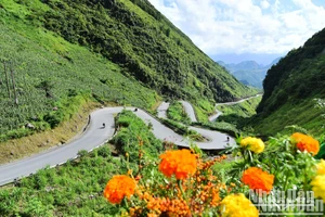 Dốc Thẩm Mã (Hà Giang) nằm ngay trên Quốc lộ 4C, nối giữa thành phố Hà Giang và huyện Mèo Vạc, là một trong những cung đường đèo đẹp và thách thức nhất tại Hà Giang, cuốn hút say mê mọi du khách. (Ảnh: THỦY NGUYÊN)