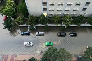(Ảnh minh họa: TTXVN)
