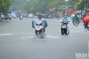 (Ảnh: THÀNH ĐẠT)