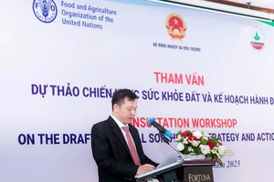 Cục trưởng Cục Trồng trọt và Bảo vệ thực vật (Bộ Nông nghiệp và Môi trường) Huỳnh Tấn Đạt phát biểu tại buổi tham vấn.